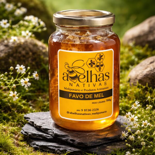 Favo de Mel Apis - 700g